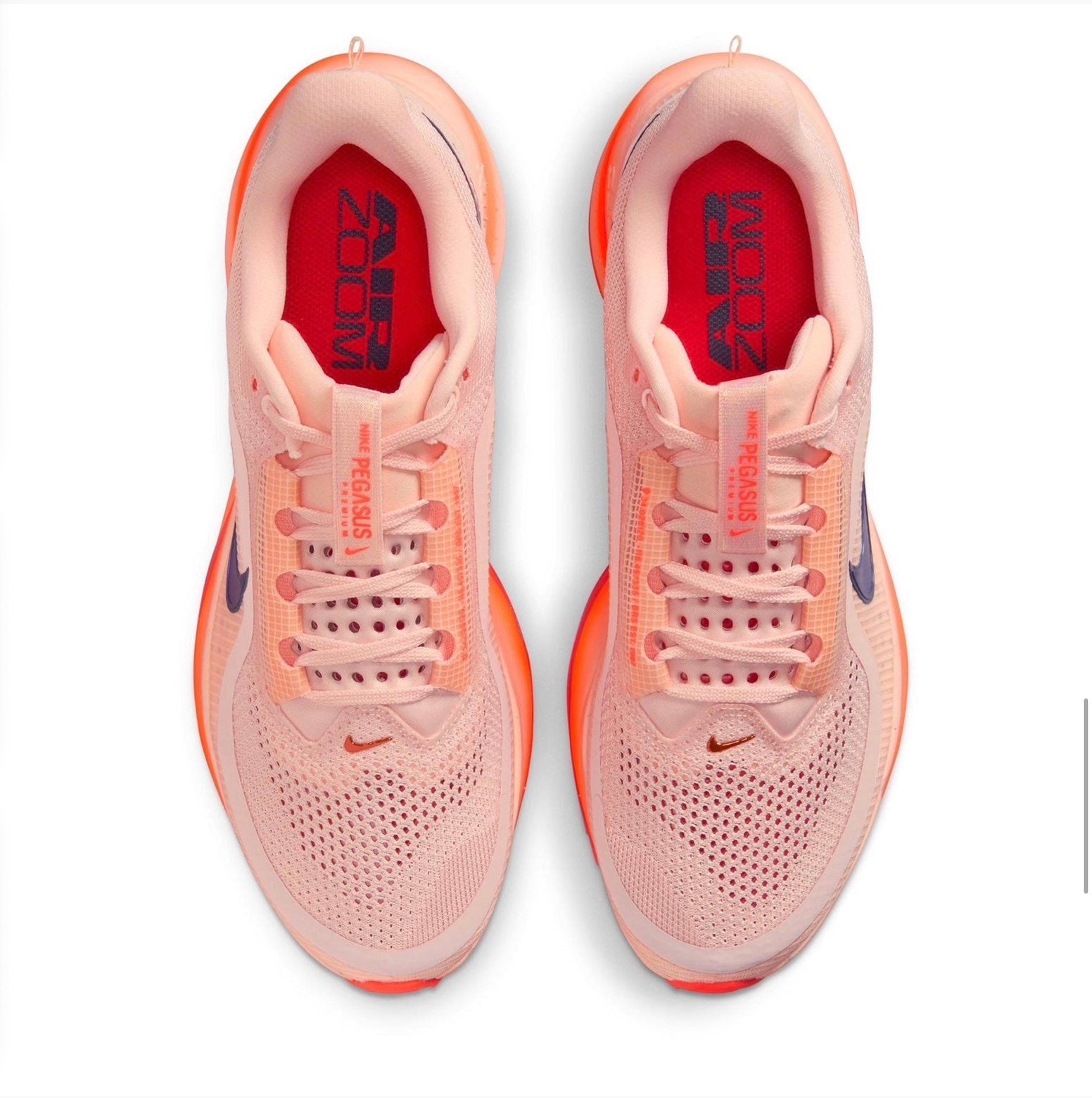 Nike pegazus