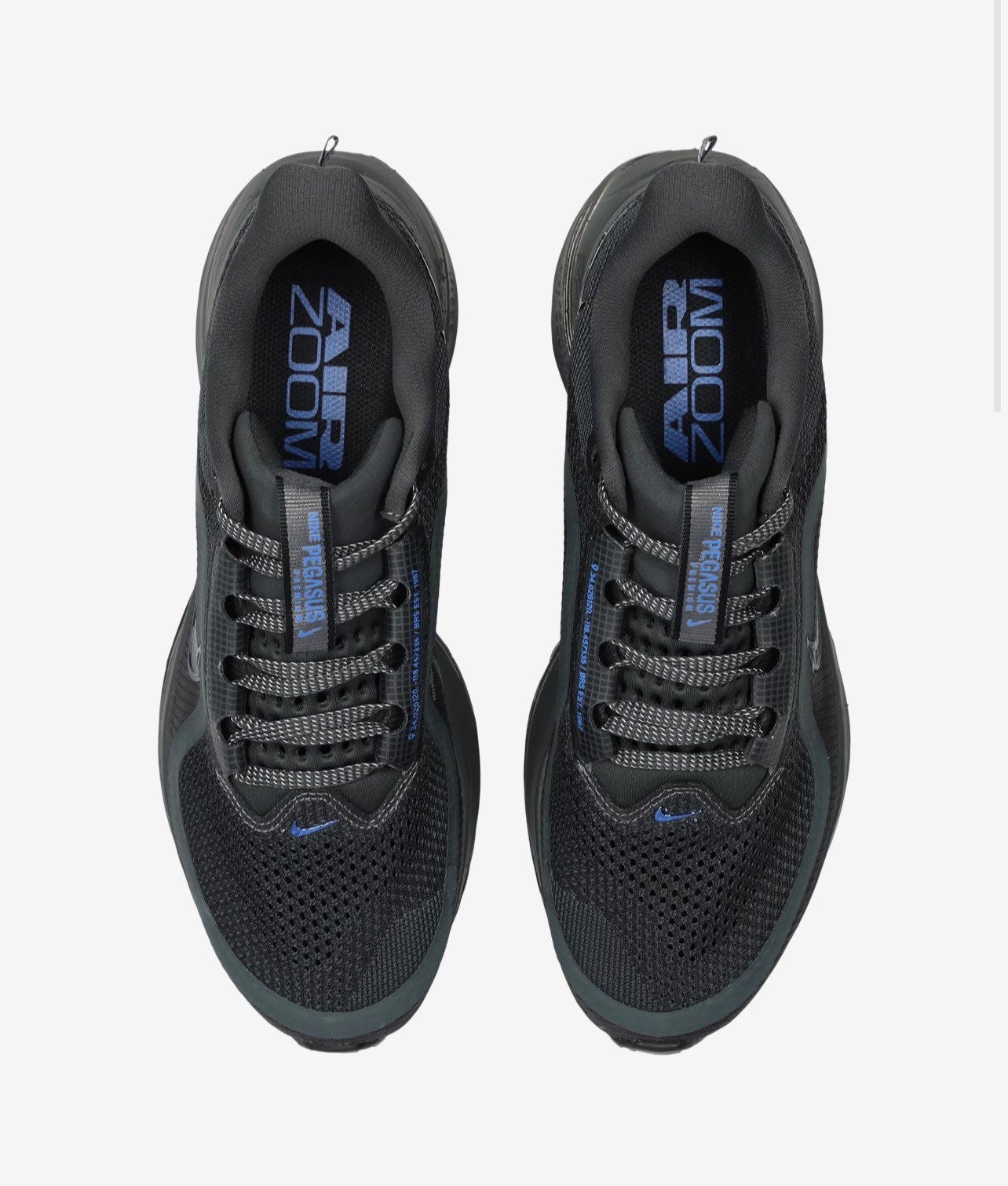 Nike pegazus