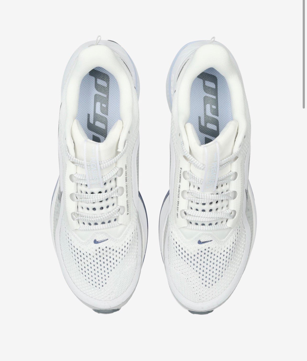 Nike pegazus