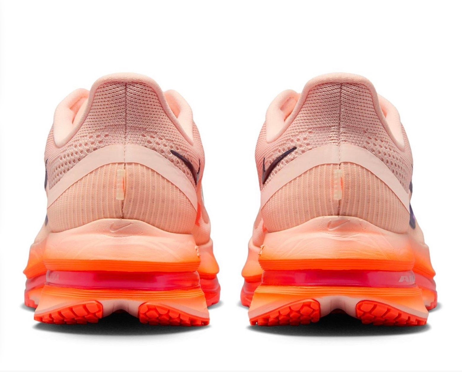 Nike pegazus