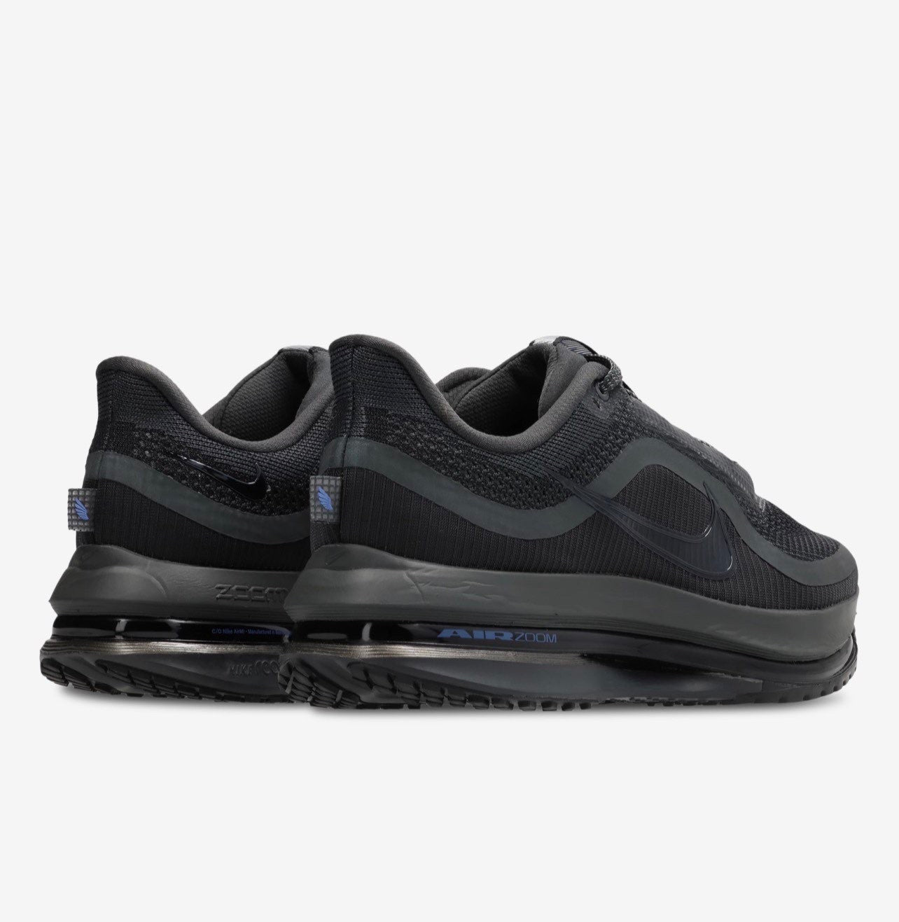 Nike pegazus