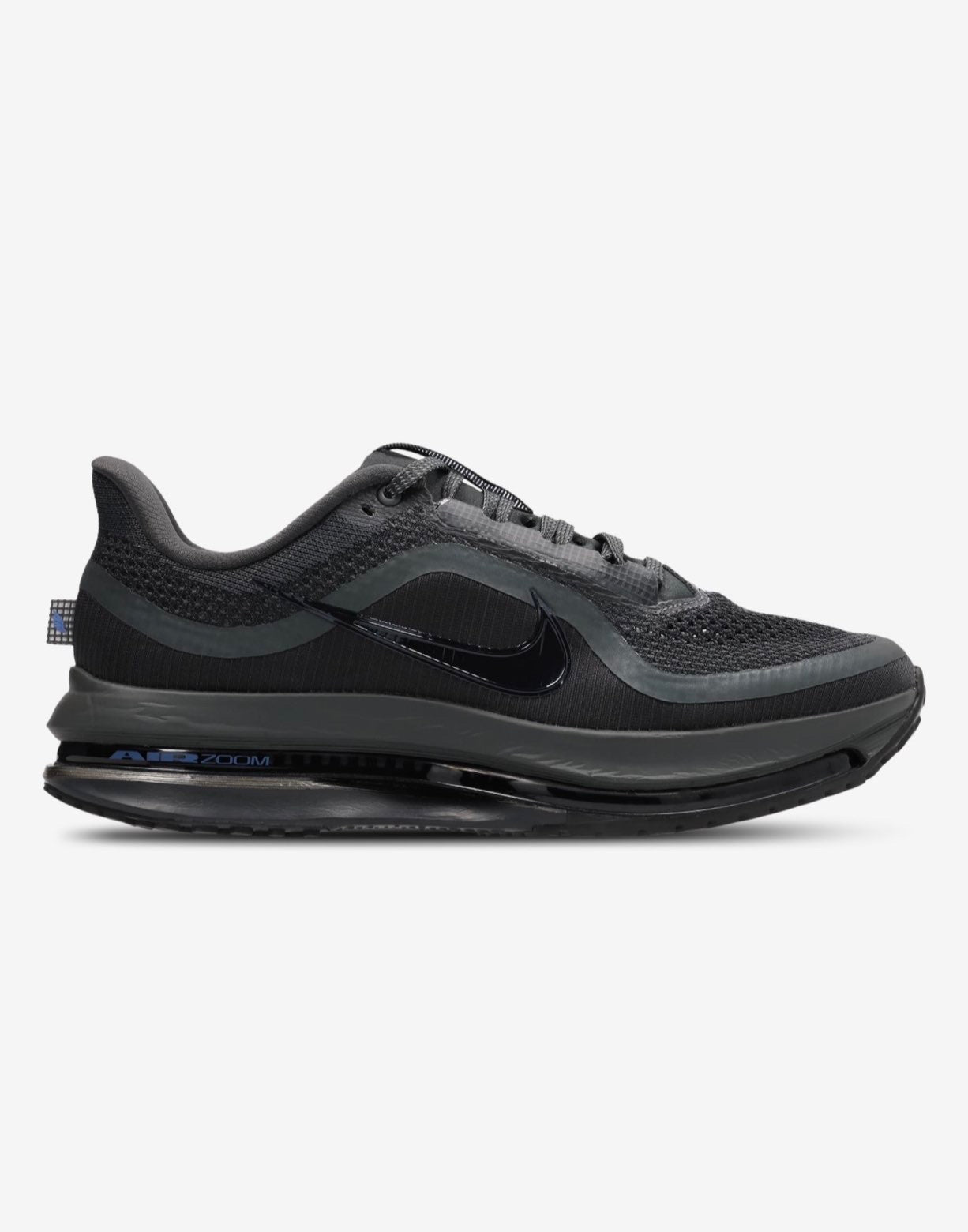 Nike pegazus