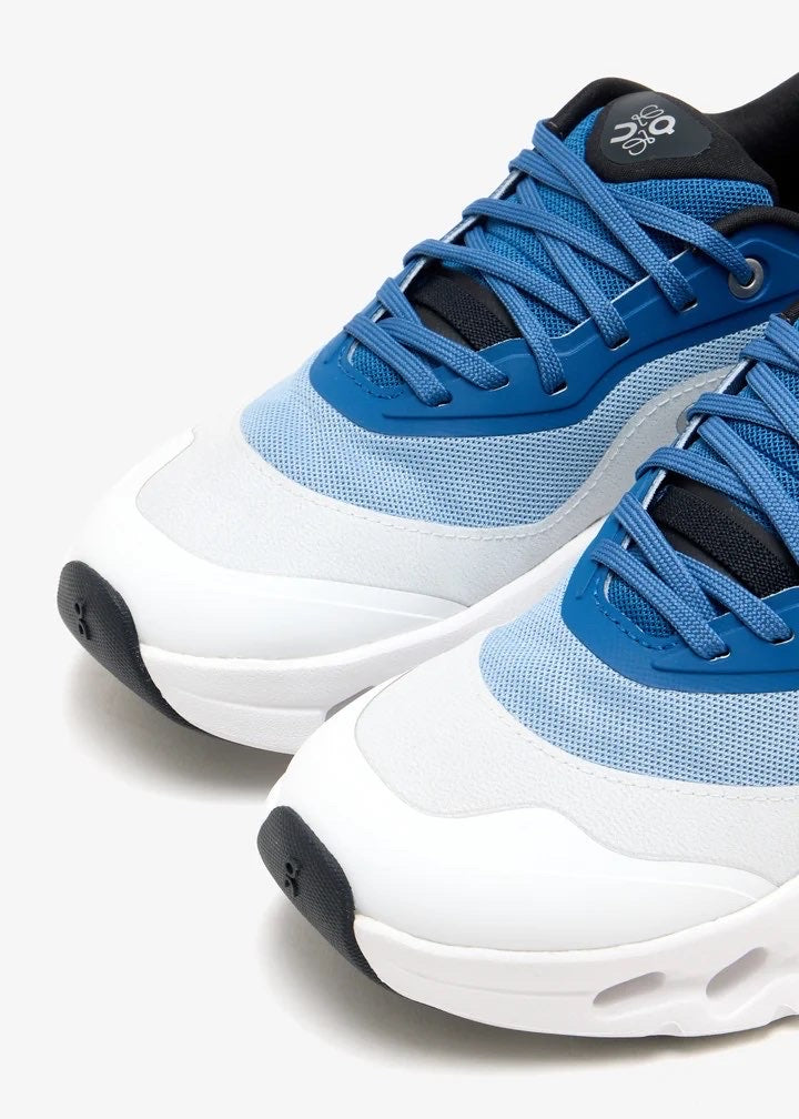 On loewe bleue
