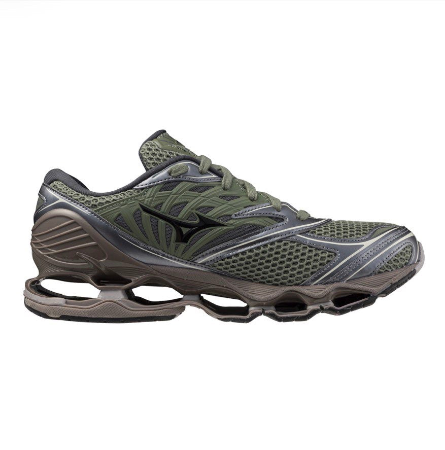 Nike pegazus